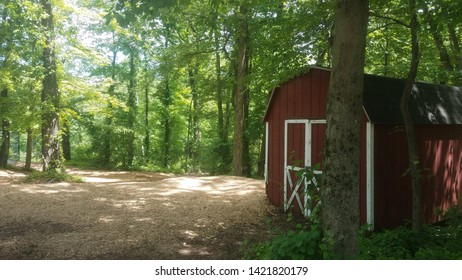 Barn in the middle of a forest