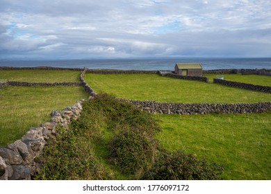 The Barn On The Meadow On Inis Mor