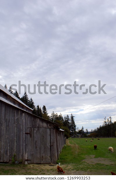 Barn On Salt Spring Island Stock Photo Edit Now 1269903253