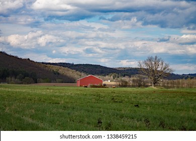barn in open field