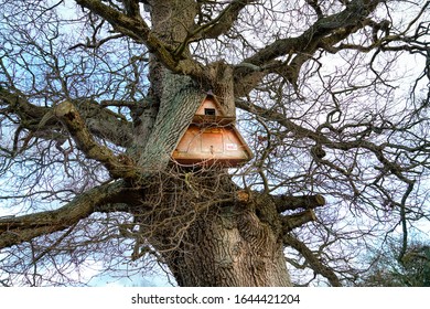 Barn Owl Nest Box UK Countryside