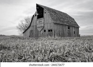 A Barn Scene On A Farm In Iowa.