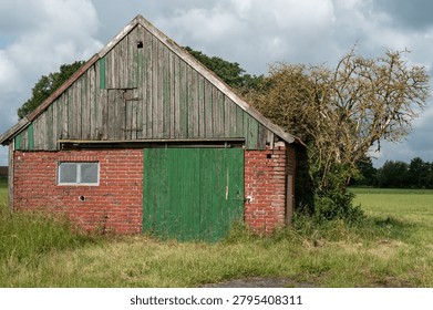 A barn stands next to a walnut tree in a grassy area. The barn has a wooden roof and a green door. The sky is cloudy, and the field stretches beyond the barn.