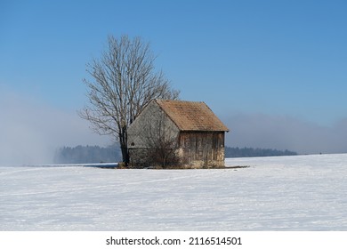 Barn and Treet in Winter Landscape - Powered by Shutterstock