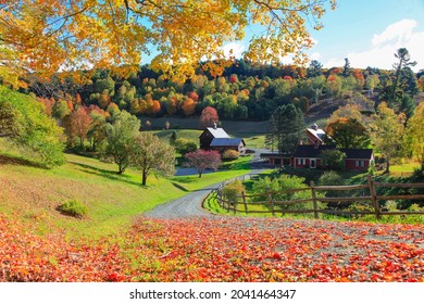 Barn In Vermont Country Side Surrounded By Autumn Trees And Foliage