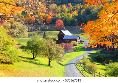 Barn In Vermont Country Side Surrounded By Autumn Trees
