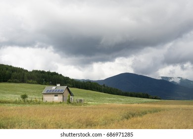 Barn in the wheat field. Slovakia - Powered by Shutterstock