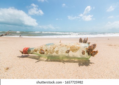 The Barnacle Lived On The Bottle That Was Left.