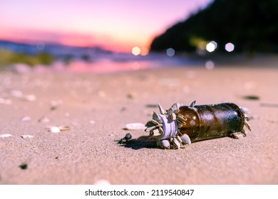 Barnacle On The Beverage Bottle On The Beach