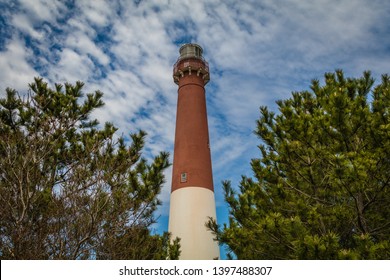 Barnegat Lighthouse on Long Beach Island, NJ, surrounded by large evergreen pine trees on a sunny spring day with blue sky dotted with clouds