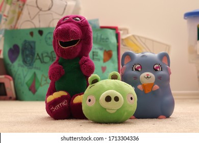 Barney, Minion Pig And Squeezy Cat