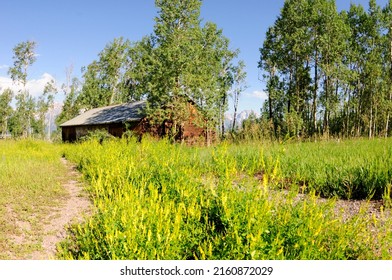 Barns Of The Teton Range In Summertime 