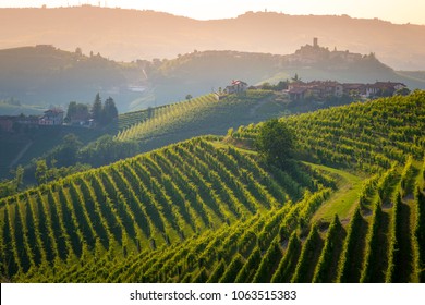 Barolo Wine Region, Langhe, Piedemont, Italy