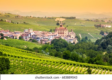 Barolo Wine Region, Langhe, Piedemont, Italy