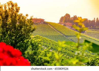 Barolo Wine Region, Langhe, Piedmont, Italy