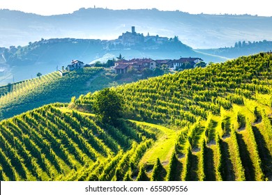 Barolo Wine Region, Langhe, Piedmont, Italy