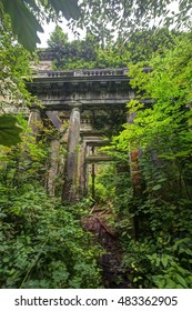 Baron hill, Angelsey, Wales, UK, September 6 2016 - Baron hill manor,  was built in 1618, the mansion was eventually lost to a fire and abandoned in the middle of a forest for it to further decay