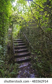 Baron hill, Angelsey, Wales, UK, September 6 2016 - Baron hill manor,  was built in 1618, the mansion was eventually lost to a fire and abandoned in the middle of a forest for it to further decay