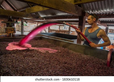 Barossa Valley, South Australia / Australia - March 13, 2013: A Worker Pumps Over Fermenting Red Wine Grapes In A Barossa Valley Winery. Pumping Over Is Called Remontage In French.