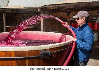 Barossa Valley, South Australia / Australia - March 13, 2013: A Worker Pumps Over Fermenting Red Wine Grapes In A Barossa Valley Winery. Pumping Over Is Called Remontage In French.