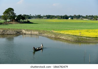 Barpeta, India. 03 December 2020.  Farmer Spray Disinfectant On A Mustard Field, At A Village In Barpeta District Of Assam.