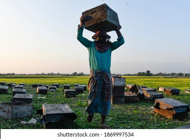 Barpeta, India. 08 December 2020. Beekeepers Working In A Bee Farm At A Village In Barpeta District Of Assam.