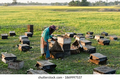 Barpeta, India. 08 December 2020. Beekeepers Working In A Bee Farm At A Village In Barpeta District Of Assam.