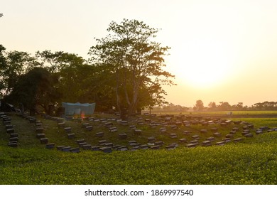 Barpeta, India. 08 December 2020. Beekeepers Working In A Bee Farm At A Village In Barpeta District Of Assam.