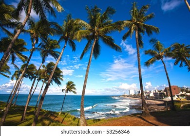 Bahia Images Stock Photos Vectors Shutterstock