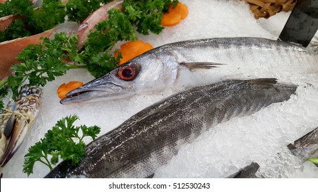 Barracuda Fish On An Ice.