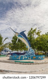 Barracuda Meedhoo Raa Atoll Island Maldives.