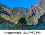 Barranco de Guayadeque valley at Gran Canaria, Canary islands, Spain.