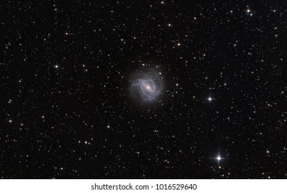 The Barred Spiral Galaxy M83