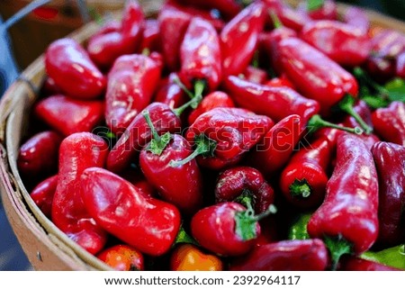 barrel of shiney, bright red chili peppers