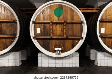 Barrels made of oak wood are in a winery basement, front view - Powered by Shutterstock