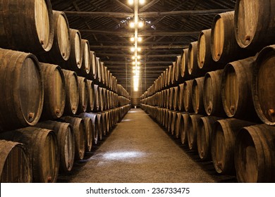 Barrels In The Wine Cellar, Porto, Portugal