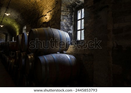 Barrels in a winery in the Langhe, Italy