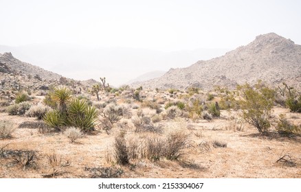 The barren desert at Joshua Tree National Park. Scrubs, brush, cacti and boulders spot the sand, and craggy mountains rise in the backgrounds. - Shutterstock ID 2153304067