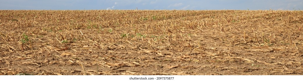 Barren Field After Harvest In Germany