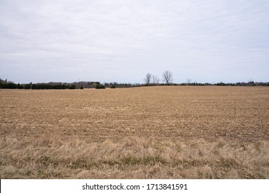 Barren Field Landscape During Spring With Cloudy Weather