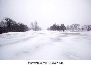 A Barren Frozen Tundra