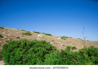 Barren hillside with sparse vegetation under a clear blue sky in Croatia. A peaceful and natural landscape. - Powered by Shutterstock