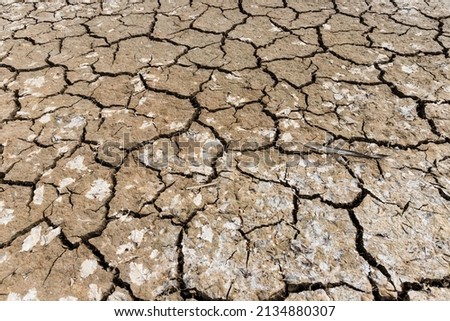 
Barren land, parched soil cracked by lack of rain, climate change