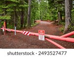 Barrier Gate and Tall Trees in Deschutes National Forest Eye-Level View