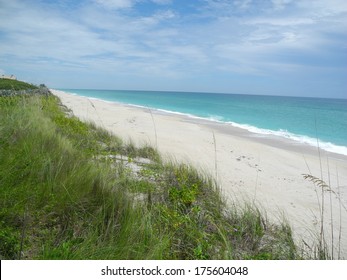 Barrier Island Sanctuary Florida