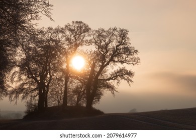 Barrow With Bare Trees And Sun As Pasture Burial And Natural Burials Concept