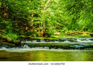 Bars and tree trunks on the river