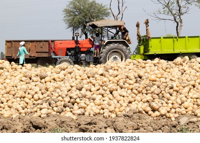 539 India Potato Farm Images, Stock Photos & Vectors | Shutterstock