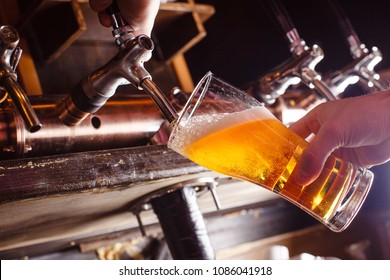 The Bartender Pours Fresh Light Beer