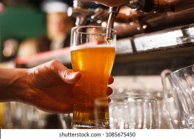 The Bartender Pours Fresh Light Lager